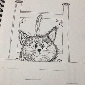 Cat ink drawing  7x10